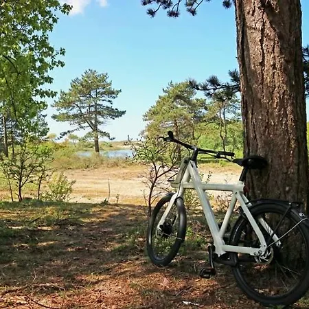 Zeebedstay * Noordwijk