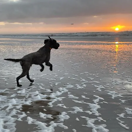 Zeebedstay Noordwijk
