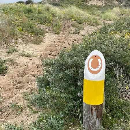 Zeebedstay * 诺德韦克