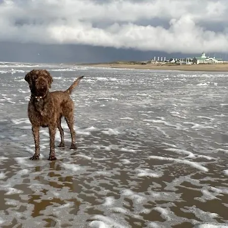 Zeebedstay Noordwijk