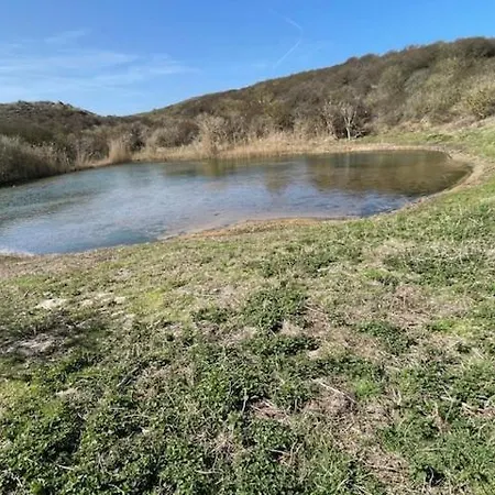 Апартаменты Zeebedstay Нордвейк-ан-Зее