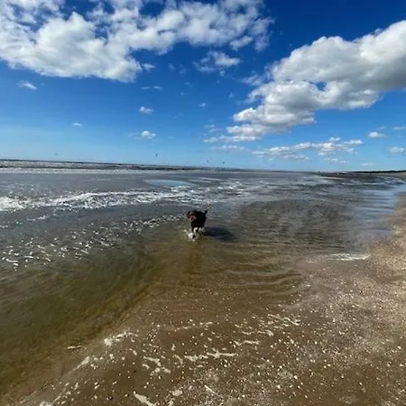 Апартаменты Zeebedstay *