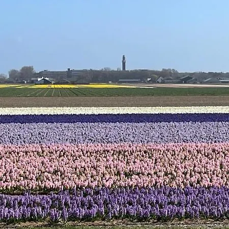 Zeebedstay * Noordwijk