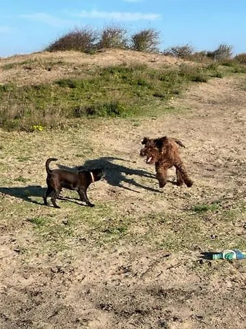 Zeebedstay Διαμέρισμα