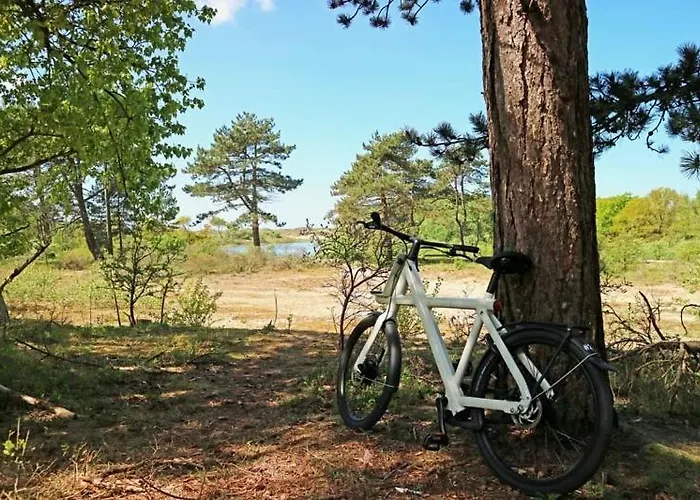 Zeebedstay * נורדוויק