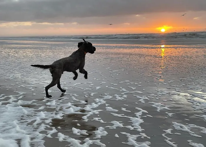 Zeebedstay Нордвейк-ан-Зее