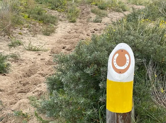 Zeebedstay * Нордвейк-ан-Зее