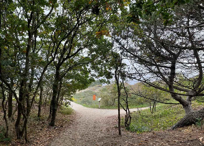 Zeebedstay Нордвейк-ан-Зее