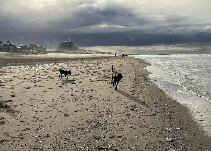 Zeebedstay Noordwijk