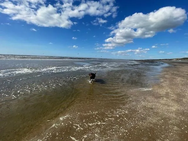 Apartmán Zeebedstay *